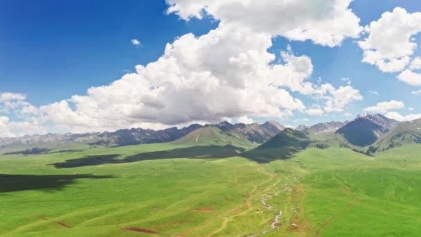 Vast grasslands and mountains in a fine day. — Stockvideo