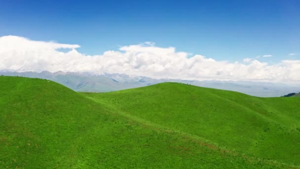 Geniş çayırlarda ve dağlarda güzel bir günde. — Stok video