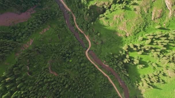 Montañas Arroyo Árboles Buen Día Fotografía Aérea Duku Road Xinjiang — Vídeos de Stock