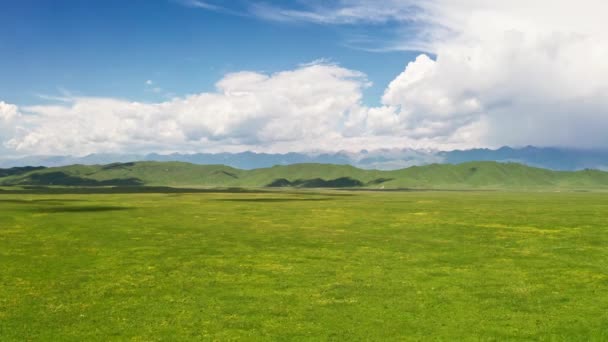 Nalati grassland with the blue sky. — Stockvideo