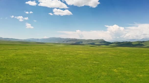 Nalati grassland with the blue sky. — 비디오