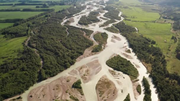 Bomen en rivier in een bewolkte dag. — Stockvideo