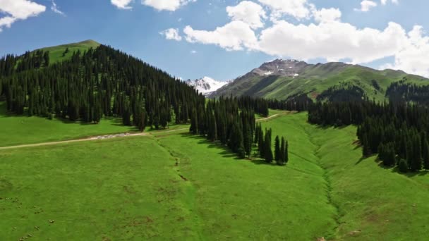 Prati di Nalati e montagne innevate in una bella giornata. — Video Stock