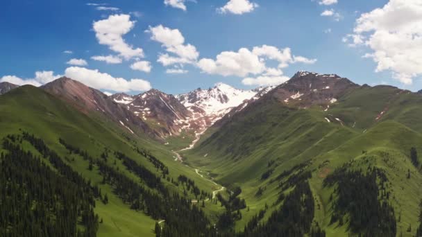 Mountains scenery of Nalati grassland. — Stockvideo