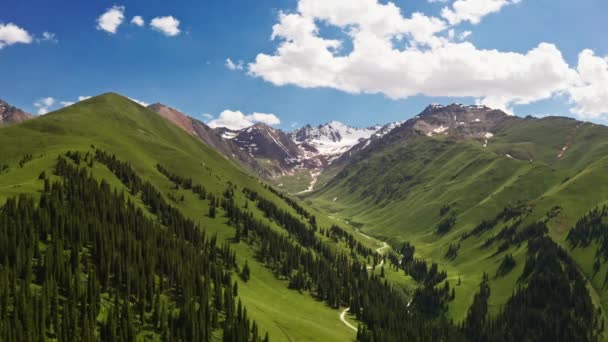 Nalati grassland and snowy mountains in a fine day. — Stockvideo