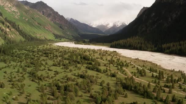 Mountains and trees at sunset. — Stockvideo