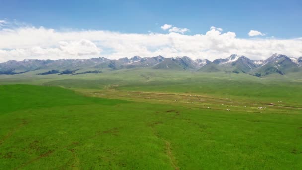 Mountains and grassland in a sunny day. — Stockvideo