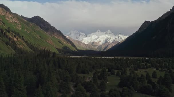 Montagne e alberi al tramonto. — Video Stock