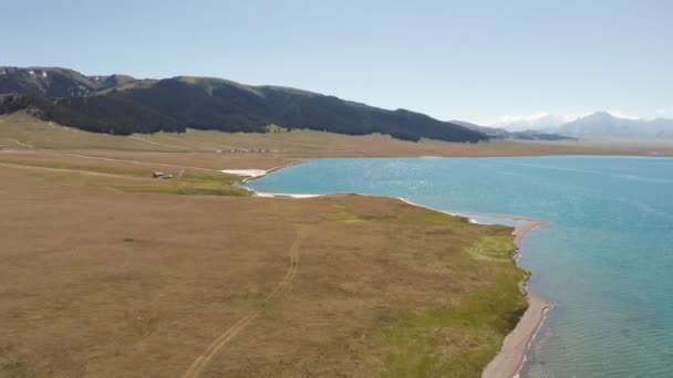 Lago y pastizales con un día soleado. — Vídeo de stock