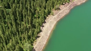 Yeşil ağaçlar ve Tianchi 'deki göl, xinjiang, Çin.