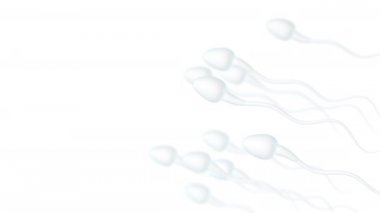 İnsan sperm hücreleri, 3D görüntüleme.