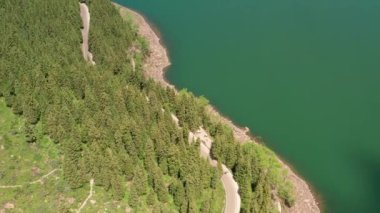 Yeşil ağaçlar ve Tianchi 'deki göl, xinjiang, Çin.