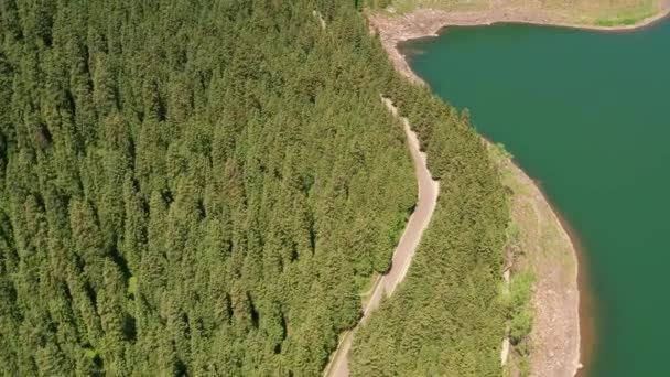 Groene Bomen Het Meer Tianchi Xinjiang China — Stockvideo