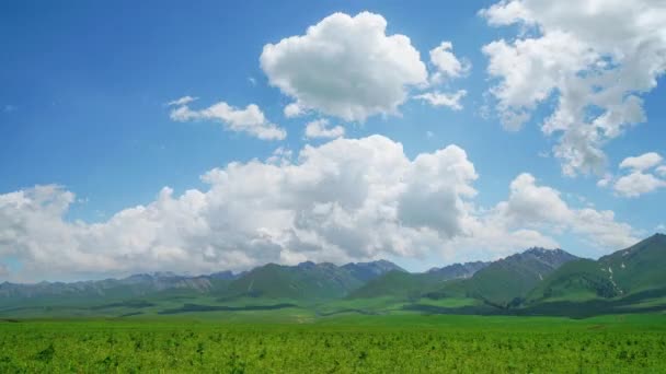 Berge Und Grasland Zeitraffer Fotografie Nalati Grasland Xinjiang China — Stockvideo