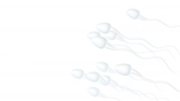 Nsan Sperm Hücreleri Görüntüleme — Stok video