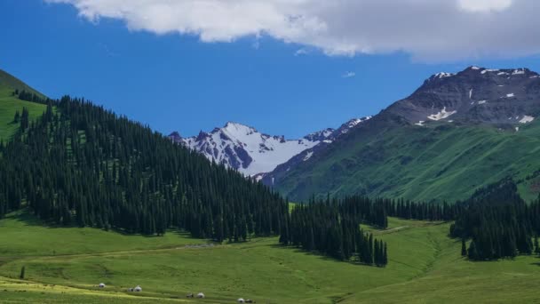 Nalati Gräsmark Och Snöiga Berg Tidsförskjutning Fotografering Nalati Gräsmark Xinjiang — Stockvideo