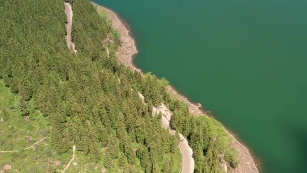 Groene Bomen Het Meer Tianchi Xinjiang China — Stockvideo