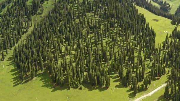 Prairies Nalati Les Montagnes Dans Une Belle Journée Photographie Aérienne — Video