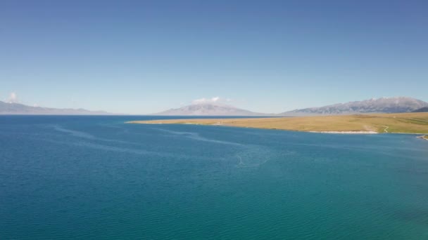 Lago Pastizales Con Día Soleado Fotografía Aérea Sayram Lake Xinjiang — Vídeo de stock