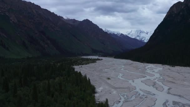 Góry Drzewa Pochmurny Dzień Foto Podróże Xiate Xinjiang Chiny — Wideo stockowe