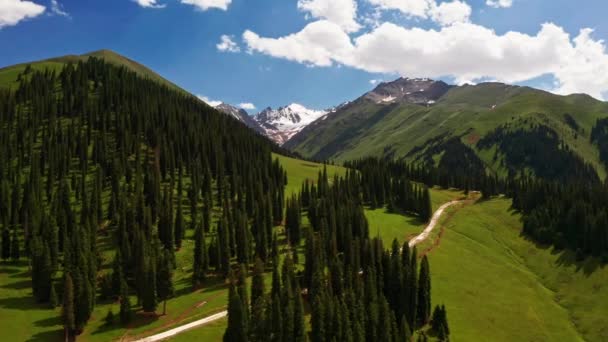 Nalati Çayırları Karlı Dağlar Güzel Bir Günde Nalati Otlağındaki Hava — Stok video