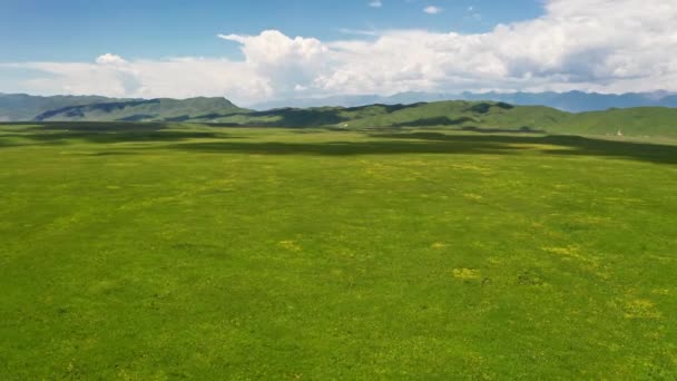 Nalati Grässlätt Med Blå Himmel Flygfoto Nalati Vall Xinjiang Kina — Stockvideo