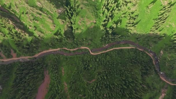 Montagnes Ruisseau Les Arbres Dans Une Belle Journée Photos Photographie — Video