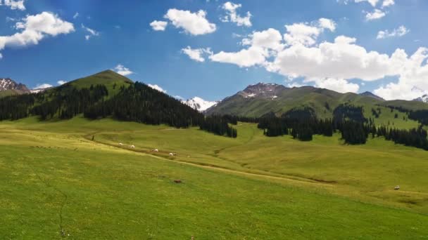 Nalati Grasland Und Berge Einem Schönen Tag Luftaufnahme Nalati Grasland — Stockvideo
