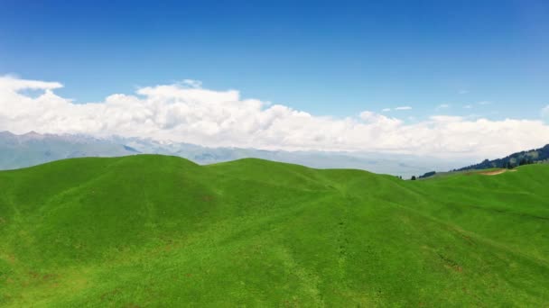 Berge Und Wiesen Einem Sonnigen Tag Luftaufnahme Nalati Grasland Xinjiang — Stockvideo