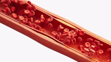 İçinde kan yağı olan kan damarı, 3 boyutlu..