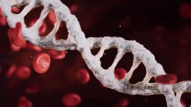 Kırmızı kan hücreleri ve tıbbi konseptli biyolojik DNA, 3 boyutlu görüntüleme.