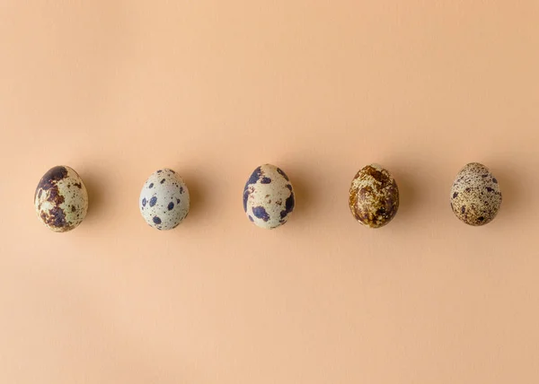 Krem rengi arka planda küçük bıldırcın yumurtaları. Üst görünüm.