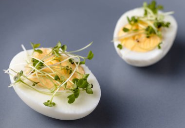 Haşlanmış yumurta ve taze mikroyeşillik. Diyet gıda konsepti. Tabak üst görünümü.