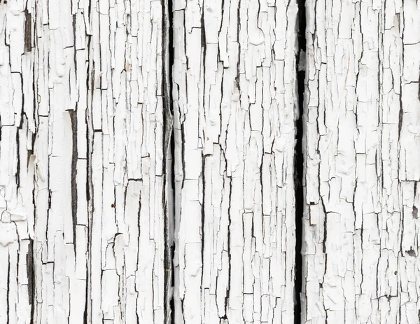 Eski bir tahta ya da yüzey dokusu. Beyaz çatlamış tahta arka plan.