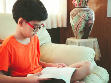 Genç Asyalı çocuk gözlük takıyor kitap okuyor ve gülümsüyor. Odadaki kanepede mutlulukla otururken..