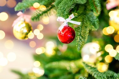 Noel oyuncağı kırmızı top Ladin dalında. 