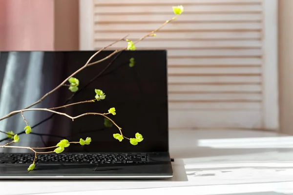 The laptop is turned off and sits on the table in the sunlight, twigs with green leaves above the keyboard