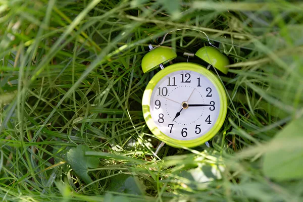 Grüner Wecker im grünen Laub in der Natur, zeigt 7 Uhr morgens an. Frühmorgendliches Konzept. — Stockfoto