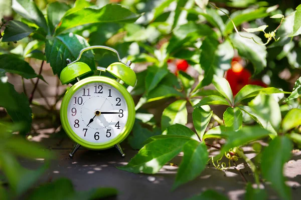 Doğadaki yeşil yapraklı yeşil alarm saati, sabah 7 kilit gösteriyor. Erken sabah konsepti. — Stok fotoğraf