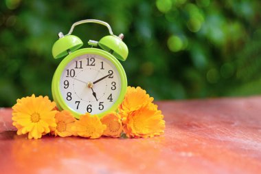 A green alarm clock with orange marigold flowers shows 5 oclock