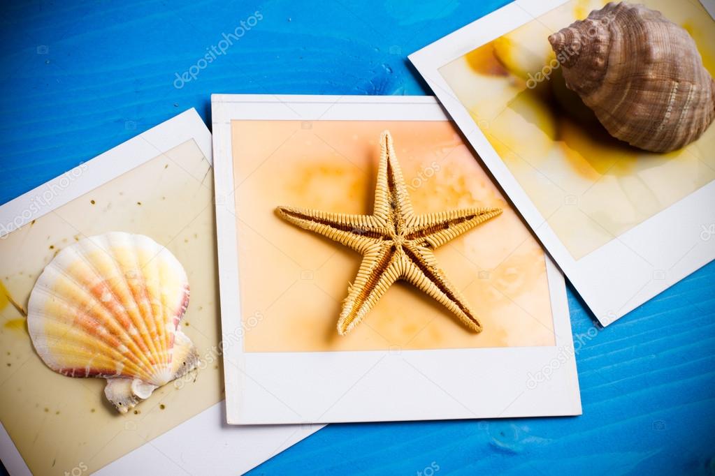 Instant Frame of Starfish and Seashells