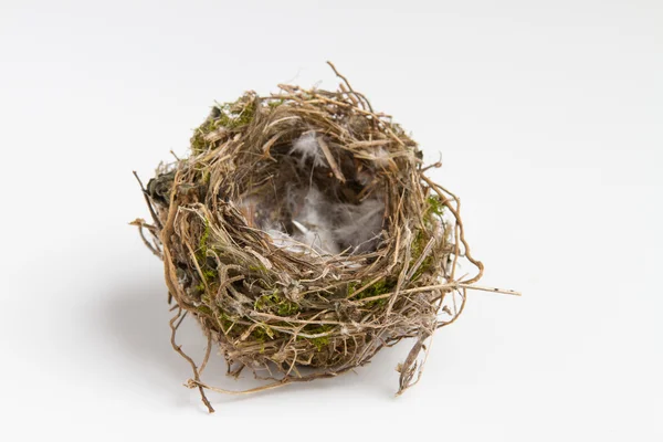 Bird's Nest Royalty Free Stock Photos