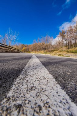 Asphalt yolu, parlak mavi gökyüzünün altında sonbahar ağaçlarıyla çevrili, beyaz bir çizgiyle, seyahatleri ve yeni başlangıçları simgeliyor.