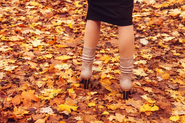 Pernas femininas finas em botas no fundo da floresta de outono — Fotografia de Stock