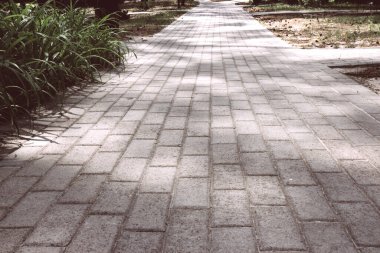 Güzel, yeşil bir çam ormanında taşlardan oluşan bir yol var. Çam ormanlarında yürüme yolu manzarası. Seçici odak