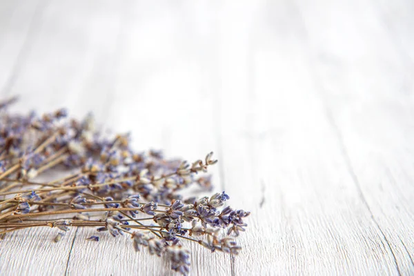 Dried Lavender flowers on a white background. Dried flowers. Side view