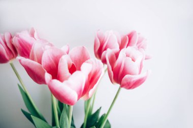 Arka planda kırmızı lale demeti. Bahar çiçeği. Anneler Günü, Sevgililer Günü, Doğum günü konsepti