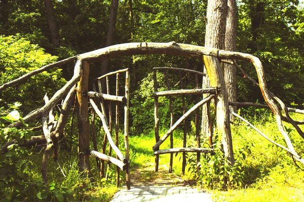 森林里的木制仙门 被风吹日晒的装饰门打开秘密木门 有选择的重点 — 图库照片