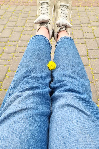 Jambes Femme Jeans Baskets Grises Vue Dessus Fleur Pissenlit Jaune — Photo