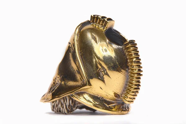 Altın bir kask. Spartalılar 'ın kaskı. Savaşçılar Miğferi